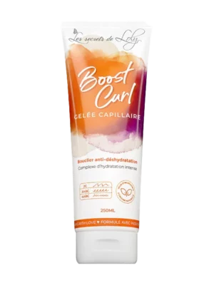 LES SECRETS DE LOLY BOOST CURL 250ML